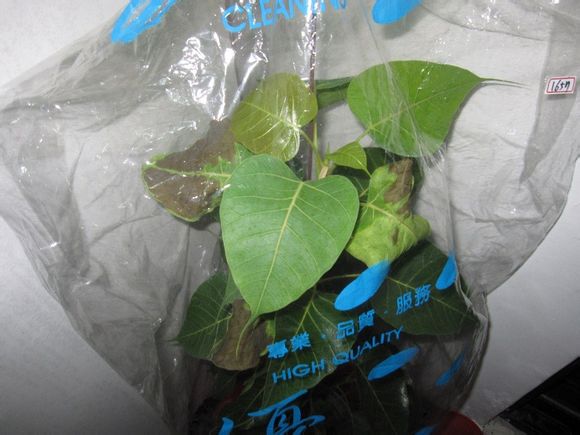 刘震:三句真话连升3级,朝鲜战争重创美国空军,毛主席连连歌颂‘开云电竞官网’(图2) 开云电竞官方网站