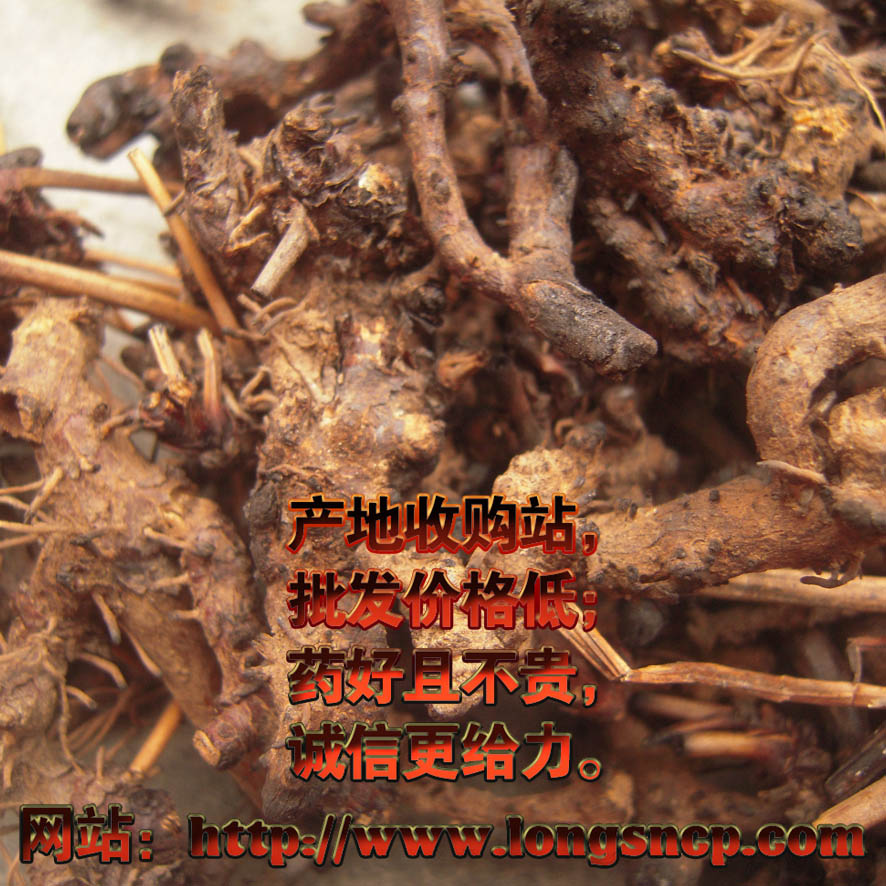 德国化工厂现巨型二战时期炸弹 重达500公斤-开云电竞(图2) 开云电竞