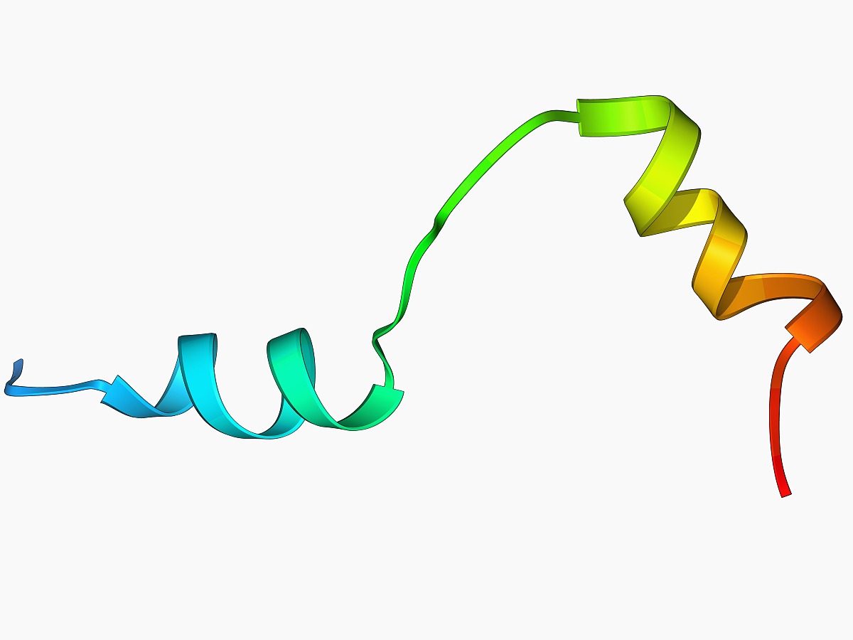 【开云电竞】云南楚雄畜牧部门全力保障畜产品质量安全(图1) 开云电竞官网