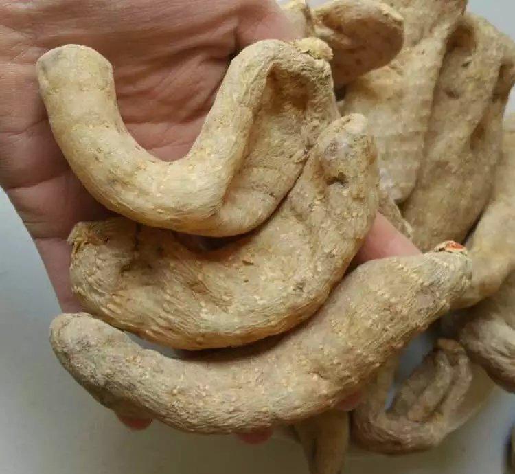 2021年省考最新动态!联考什么时候报名?【开云电竞】(图5) 开云电竞官方网站