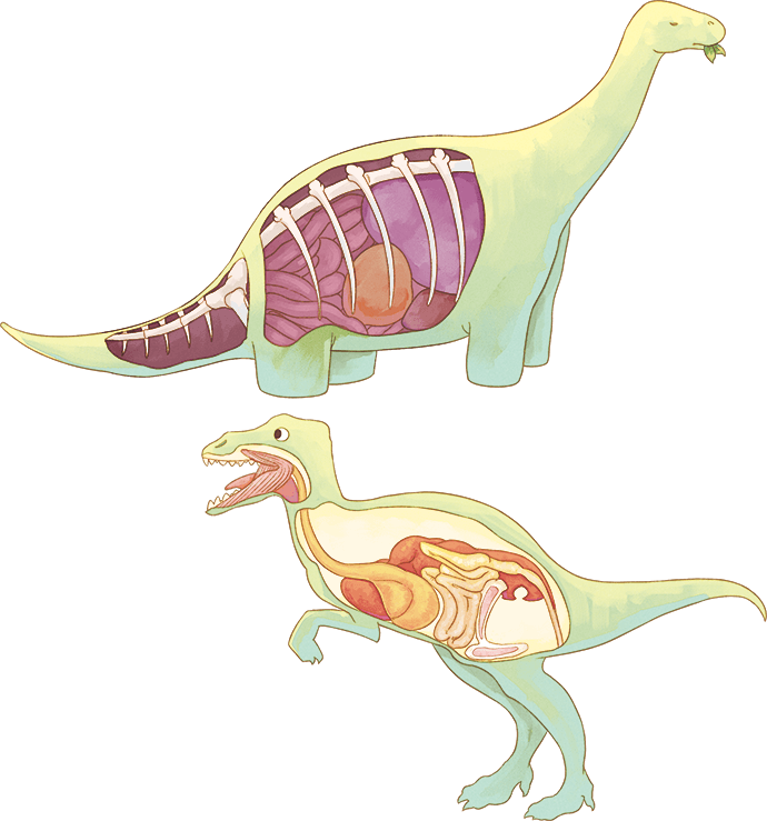 开云电竞官网_拜仁为诺伊尔下血本nbsp;转会费+四年薪水共5000万(图1) 开云电竞