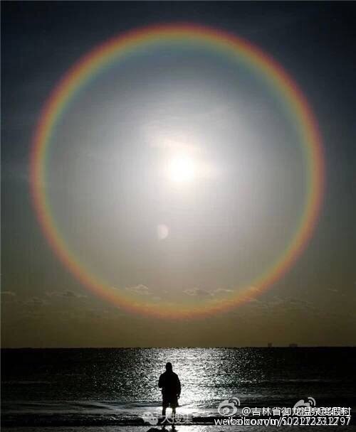 属虎的人2014年运程大全及破解_开云电竞(图2) 开云电竞