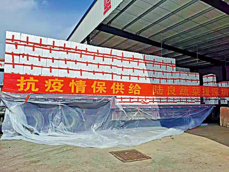 开云电竞官方网站