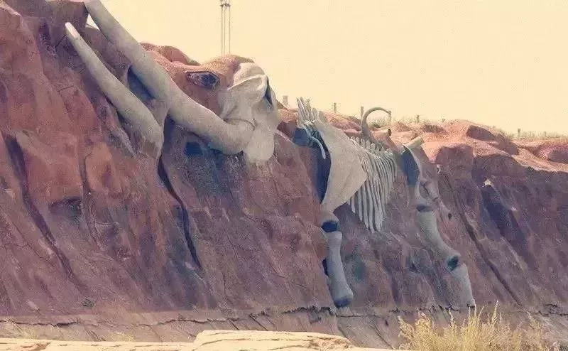 开云电竞官方网站