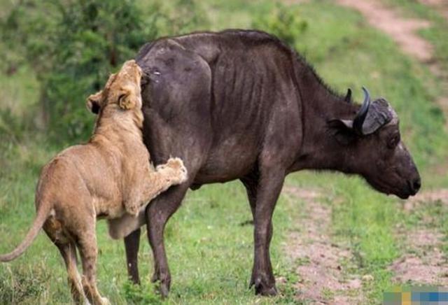 开云电竞官方网站