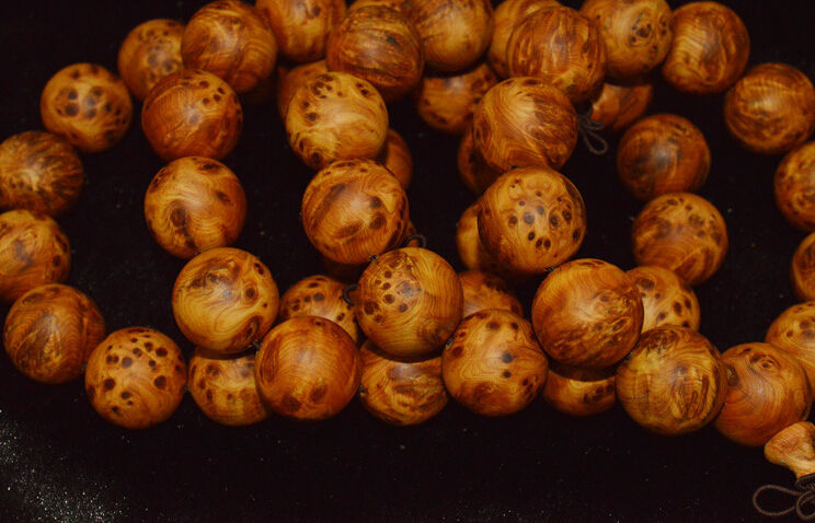 小猪续约暂搁置或赴美淘金 拜仁欲挖波尔图边锋‘开云电竞官方网站’(图1) 开云电竞官网