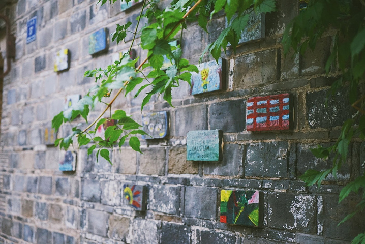 开云电竞官方网站