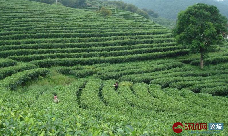 【开云电竞官网】13日德甲推荐:奥格斯堡VS多特蒙德(图1) 开云电竞官网