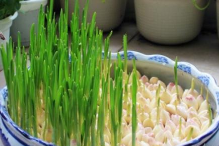 开云电竞官方网站|世界最大情色网站发起众筹 欲上太空拍性爱影片(图1) 开云电竞官方网站