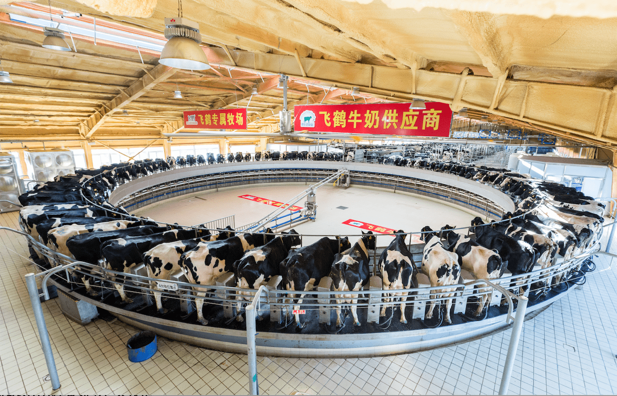 
继蒙牛、伊利之后 飞鹤又有大行动！拟入主原生态牧业|开云电竞(图2)