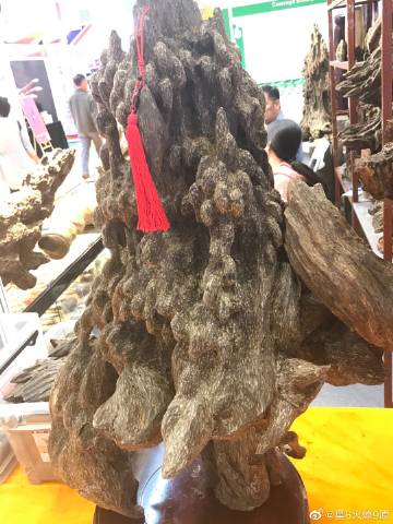 “开云电竞”内外交困之中斯托格尔率队战旧主 德甲科隆vs多特前瞻(图3) 开云电竞官网