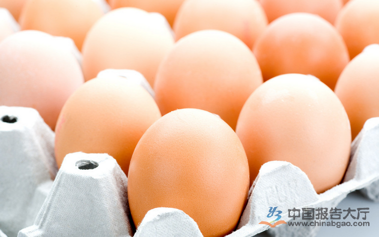 韩国12只狗检出禽流感病毒抗体-开云电竞官方网站(图1) 开云电竞