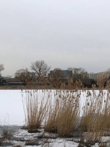 韩国12只狗检出禽流感病毒抗体-开云电竞官方网站(图4) 开云电竞官方网站