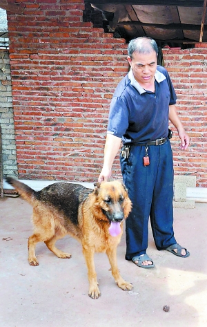 开云电竞-加纳禽鸟爆发禽流感疫情(图1) 开云电竞官方网站