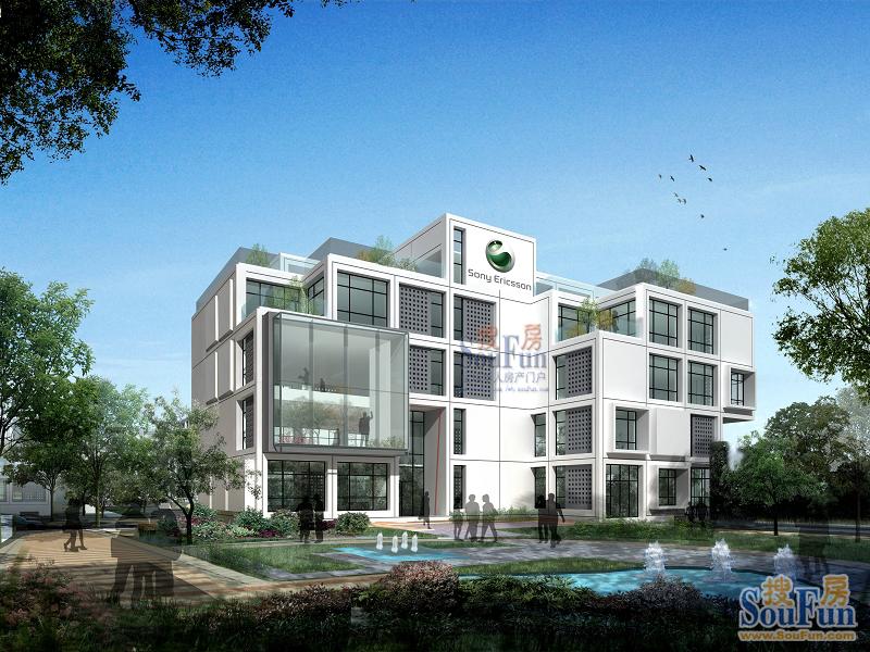 开云电竞-加纳禽鸟爆发禽流感疫情(图2) 开云电竞官网