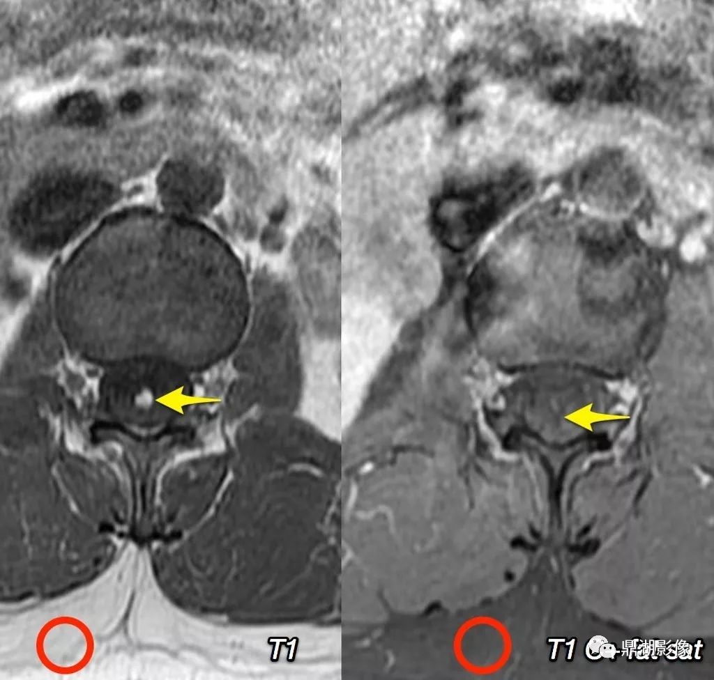 开云电竞官方网站