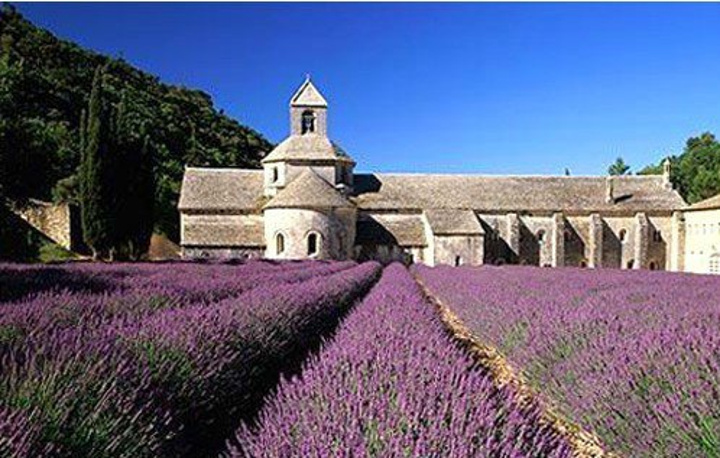 开云电竞_日本推出机器人咖啡厅揽客冲泡洗杯都能行(图4) 开云电竞