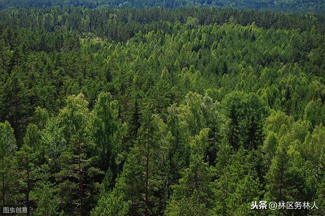 ‘开云电竞’浪子转头!夏窗险被清洗的他3场5球 把德甲保级队带到争冠(图2) 开云电竞
