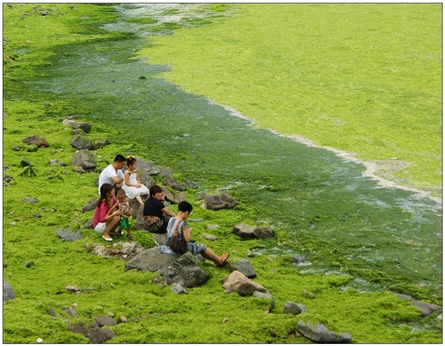 【开云电竞官网】胜负彩17179期:罗马稳胜马拉加博胆 那不勒斯不惧尤文(图1) 开云电竞官方网站