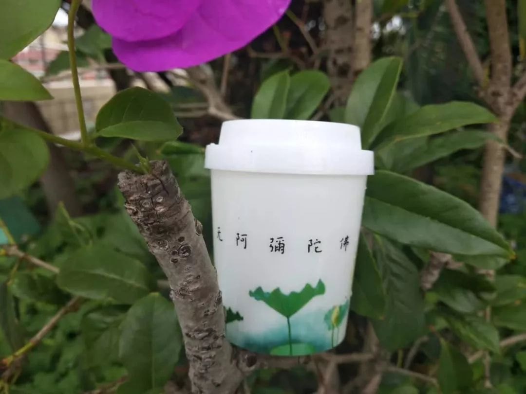 丹东陌头一男童和姥姥走散……民警急脱手~~【开云电竞官网】(图4) 开云电竞官网