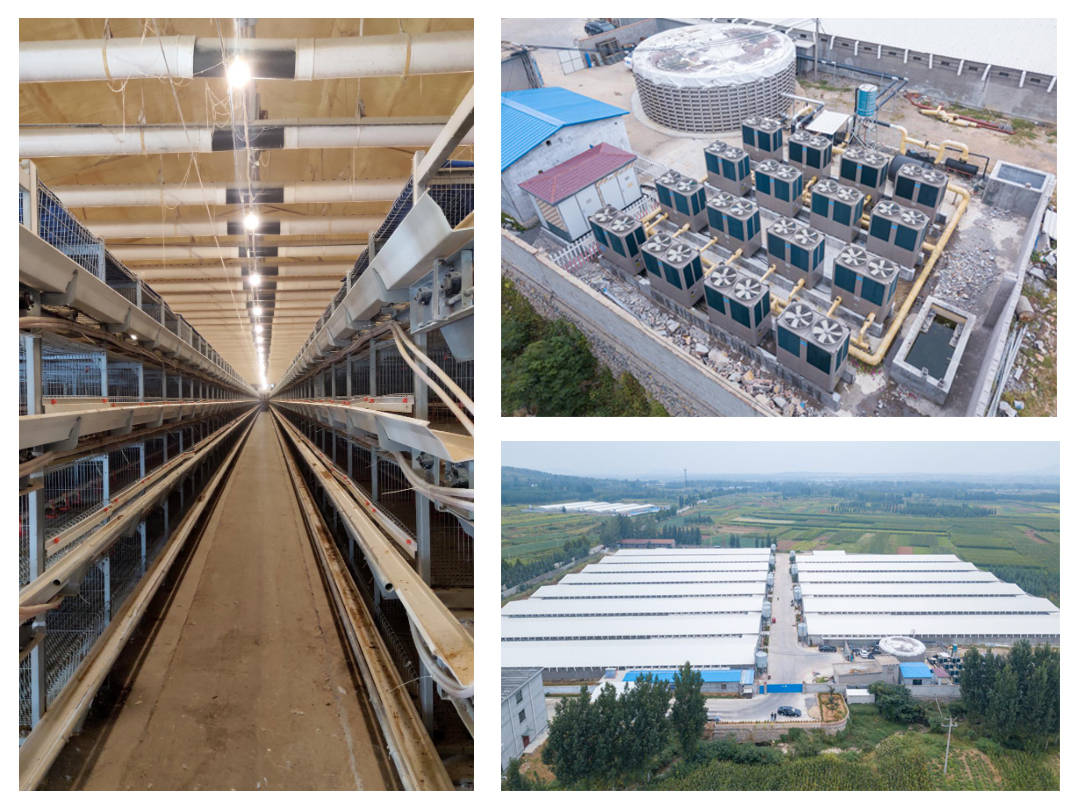 节能革新-开云电竞官网(图6)
节能革新-开云电竞官网(图6)