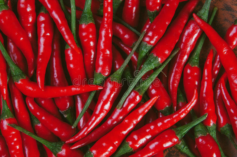 开云电竞官方网站