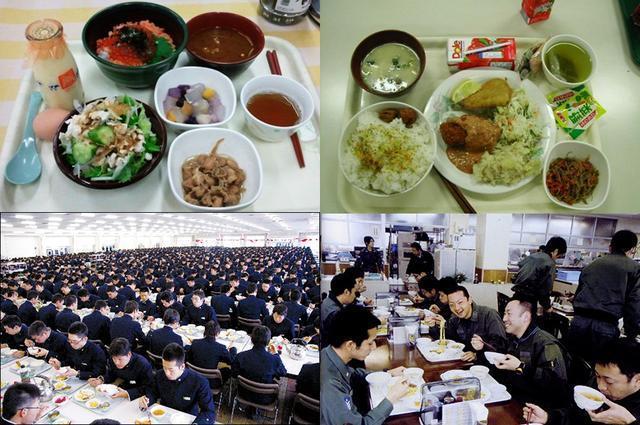 开云电竞官方网站