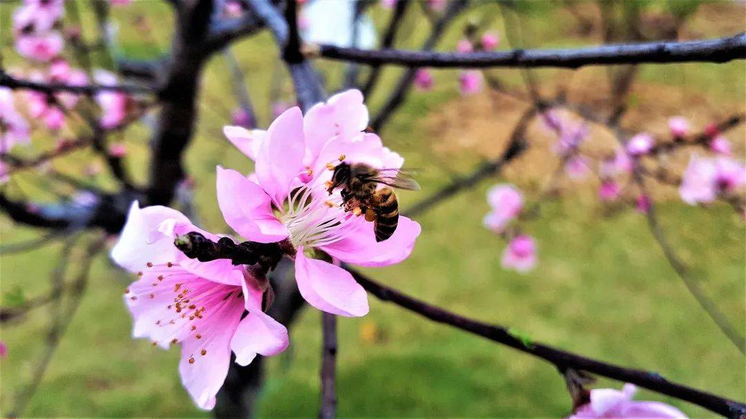 “开云电竞官方网站”
广州工商学院专升本(图6)