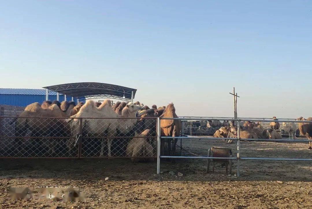 开云电竞官方网站_
普济、濟尤物系列产物入选《专精特新品牌名录》(图10)