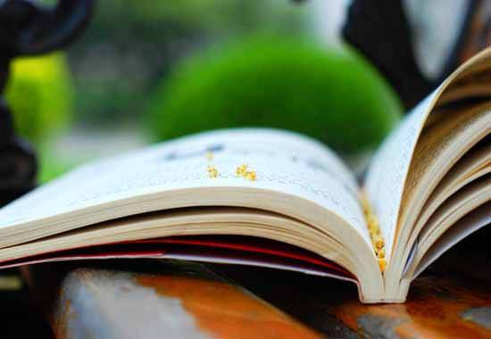 
最全！全国各省自考办官方网站_开云电竞(图2)