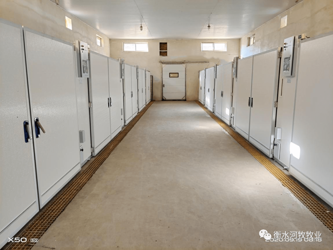 
河牧牧业孵化扩建有序举行中|开云电竞官方网站(图3)