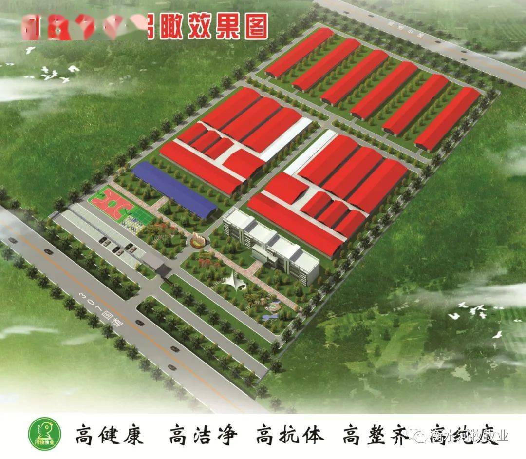 
河牧牧业孵化扩建有序举行中|开云电竞官方网站(图5)