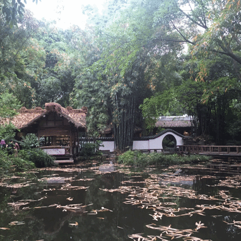 开云电竞官方网站