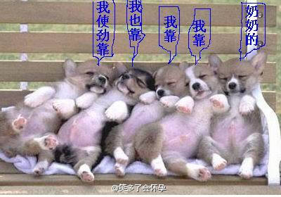 开云电竞官方网站